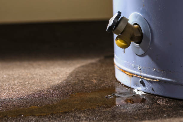Water damage restoration experts in WV