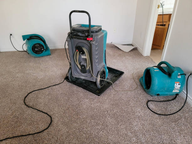 Best Water damage restoration near me  in Follansbee, WV
