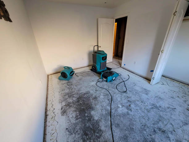 Best Fire Damage Restoration  in Follansbee, WV