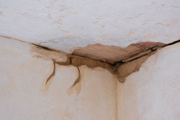 Best Local water damage restoration  in Follansbee, WV
