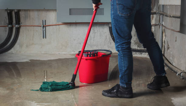 Best Flooded house restoration  in Follansbee, WV