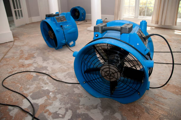 Best Flooded house restoration  in Follansbee, WV
