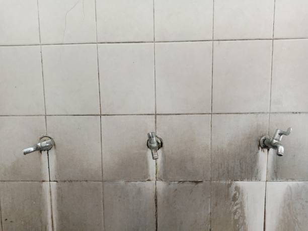 Best Emergency water damage restoration  in Follansbee, WV