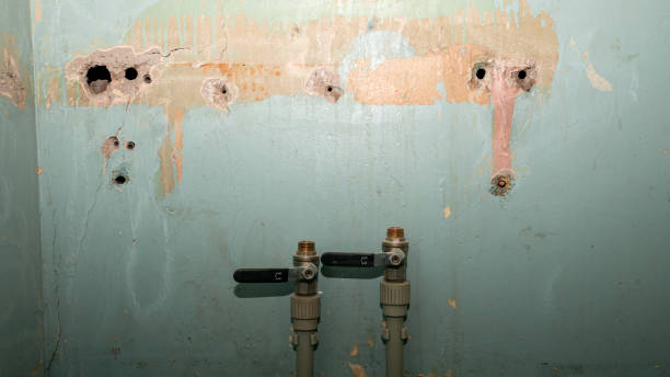 Best Professional water damage repair  in Follansbee, WV